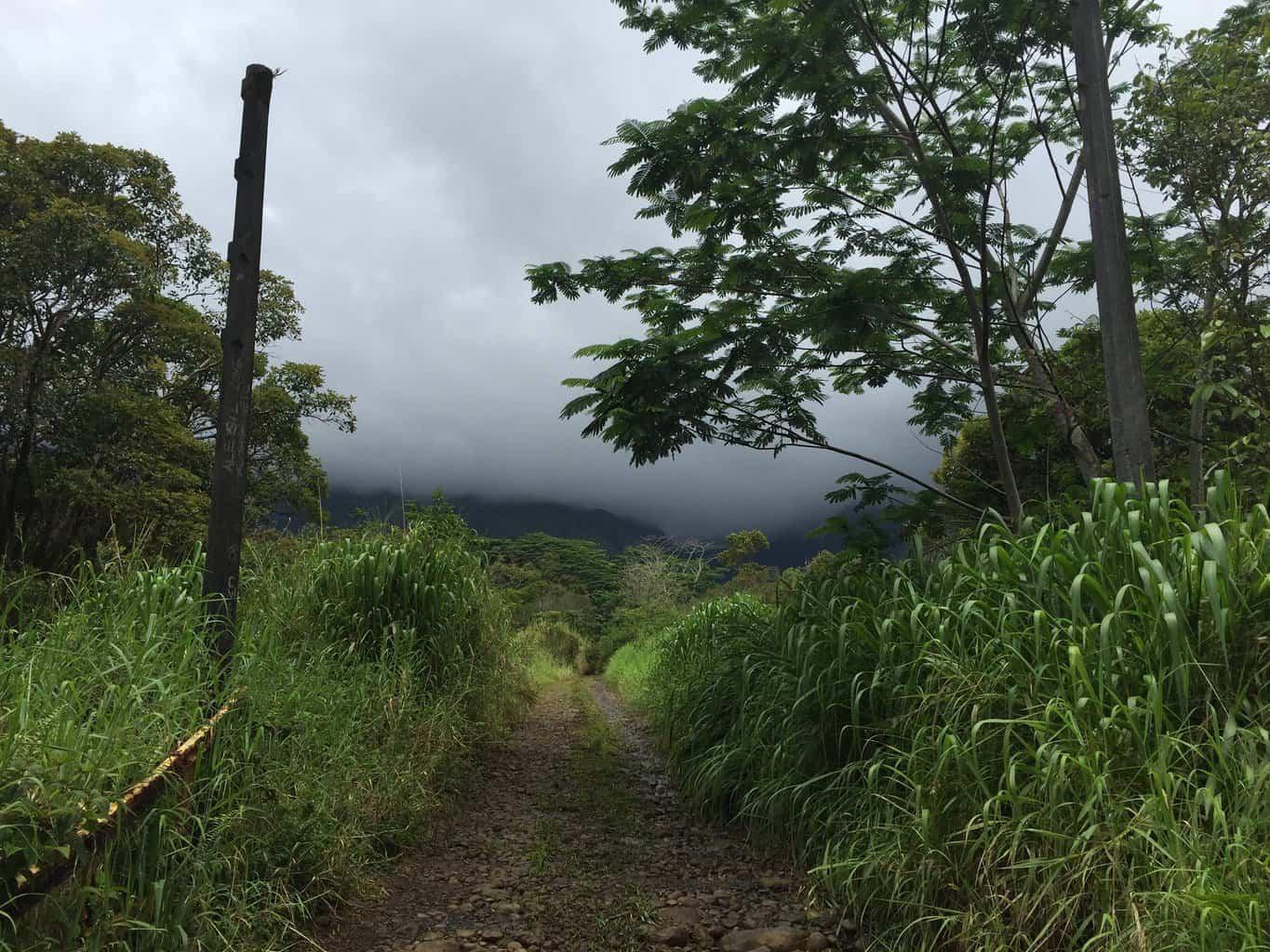 Jurassic Park Gate