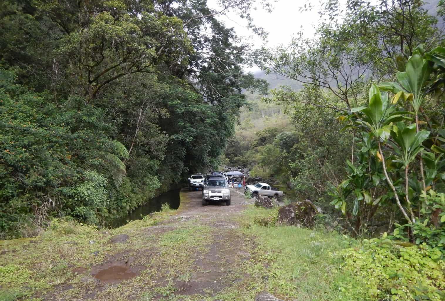 Loop Road Kauai