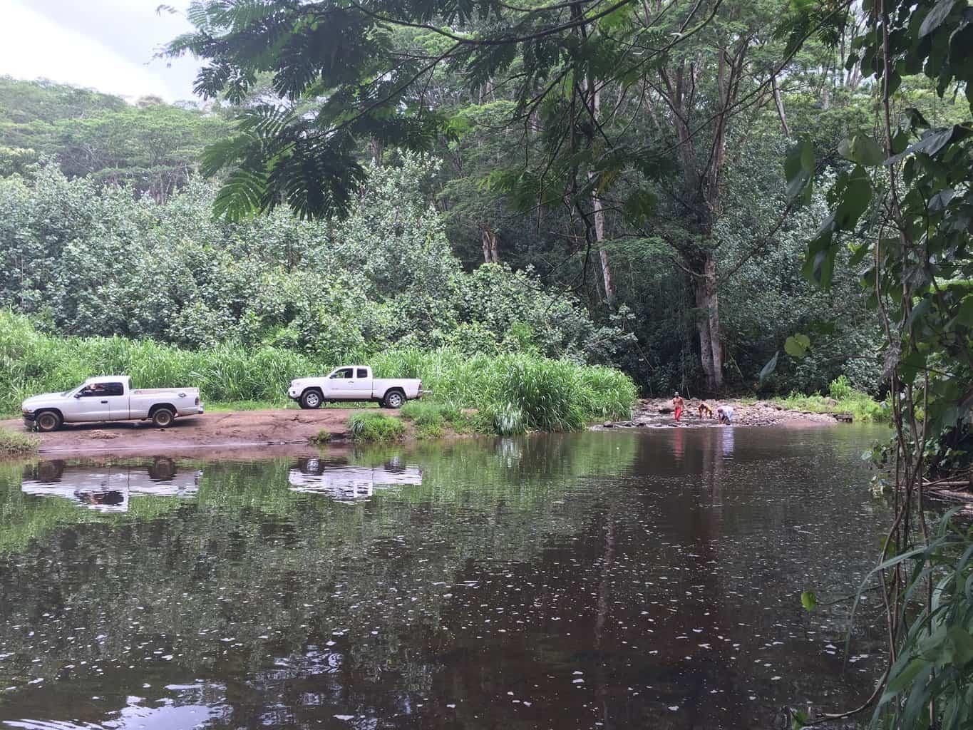 Loop Road Kauai