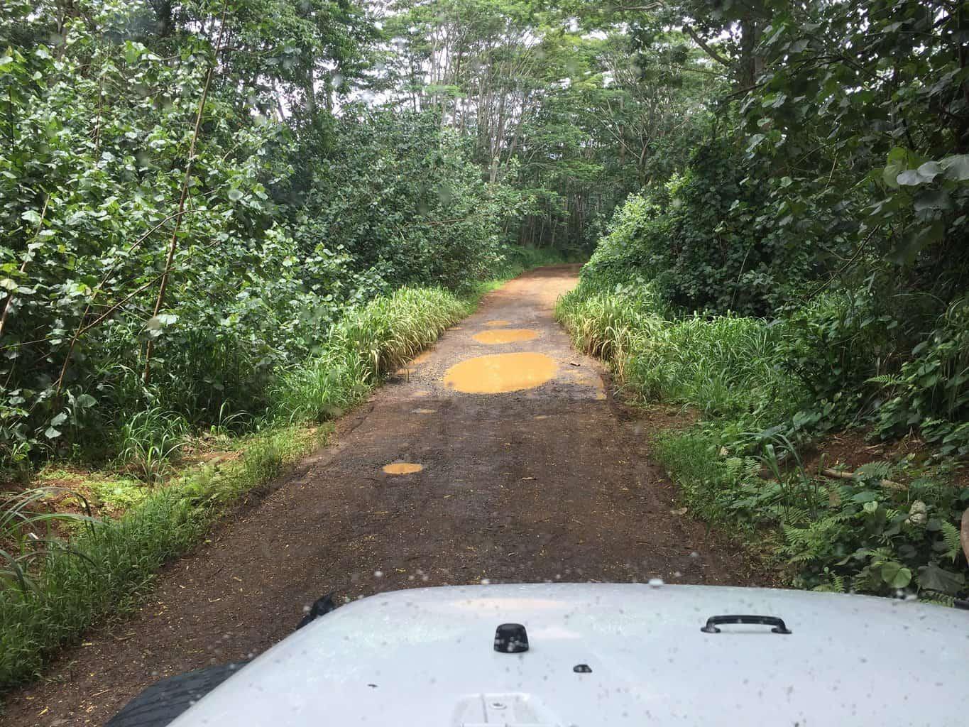 Loop Road | Kauai Travel Blog