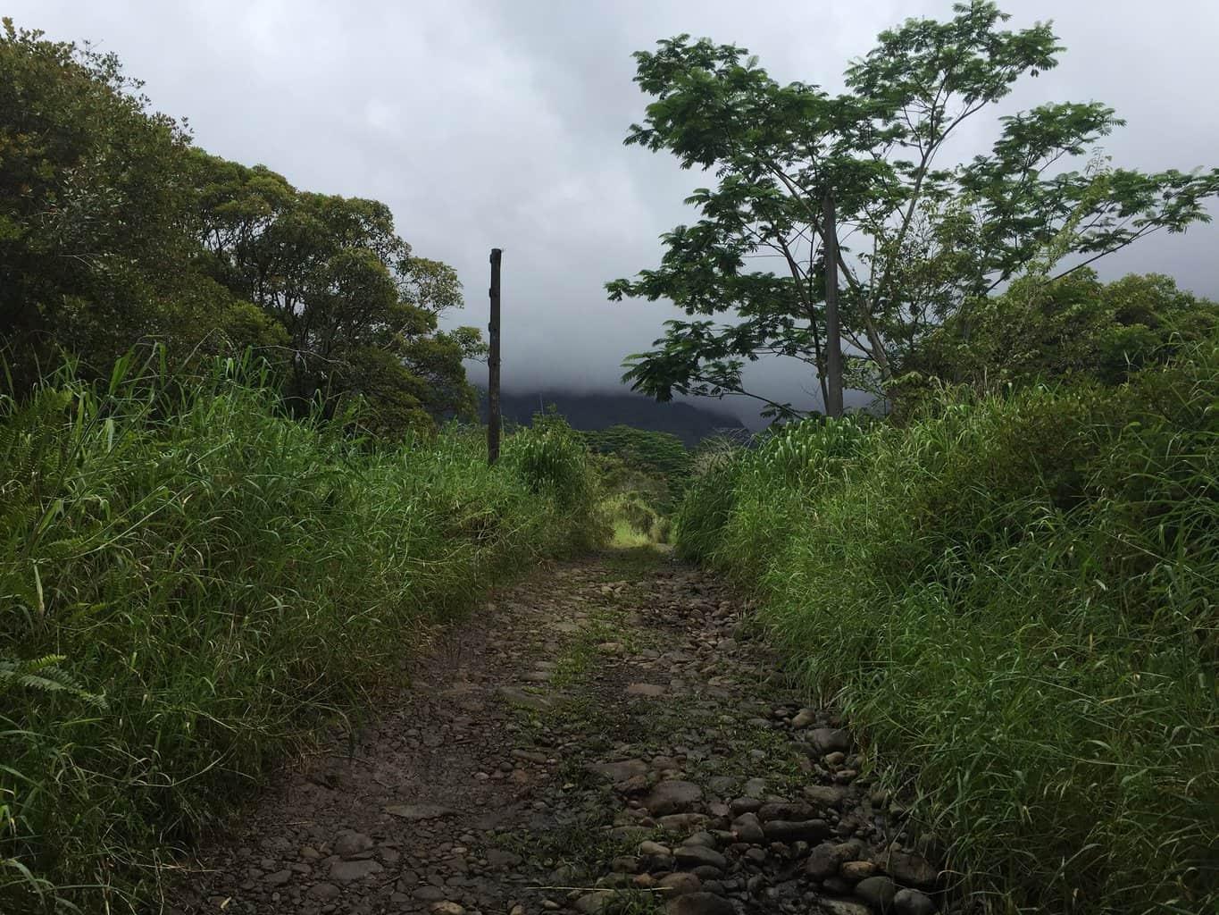 Loop Road Kauai