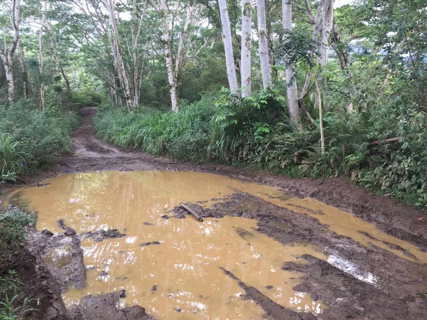 Loop Road Kauai