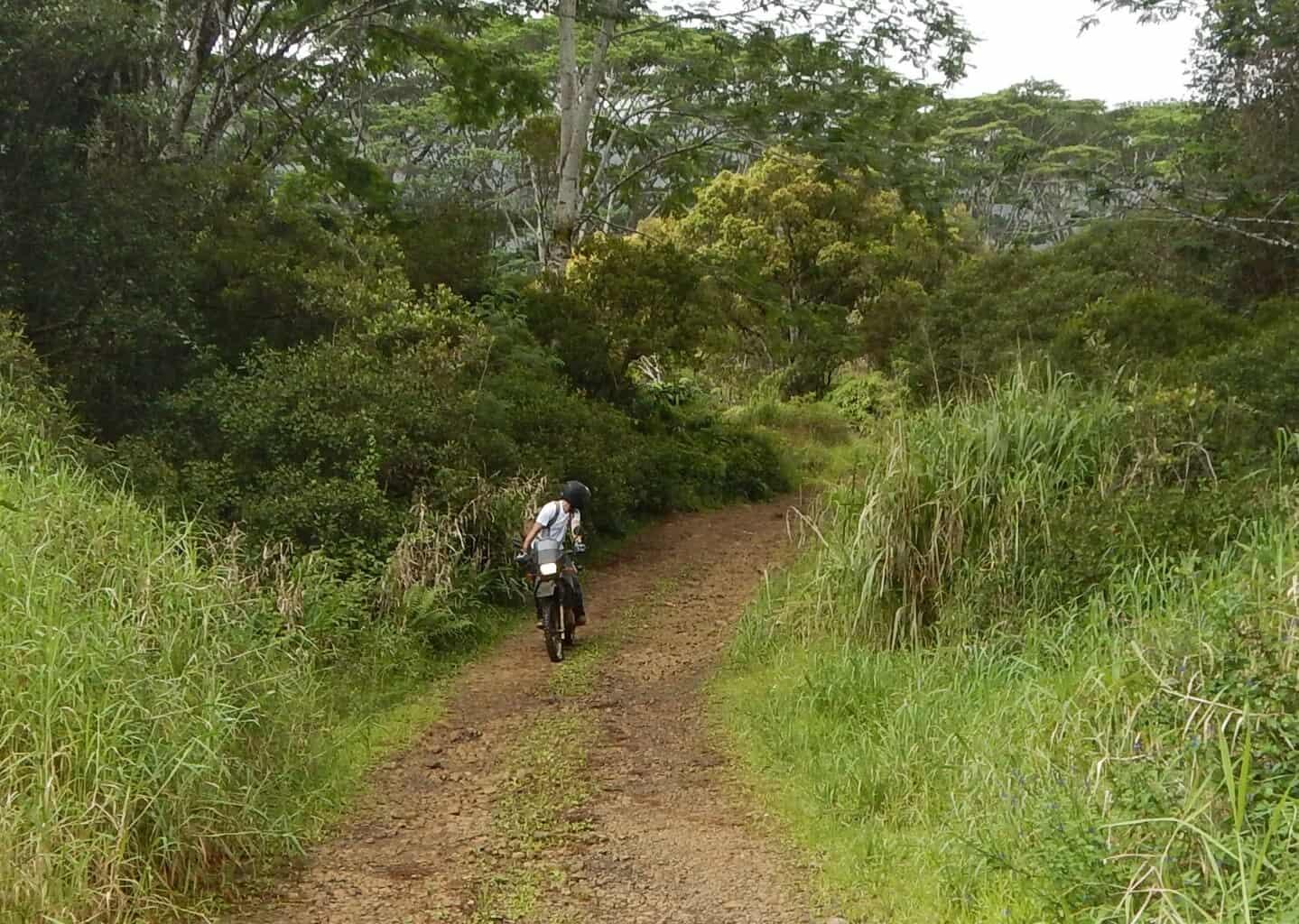 Loop Road Kauai