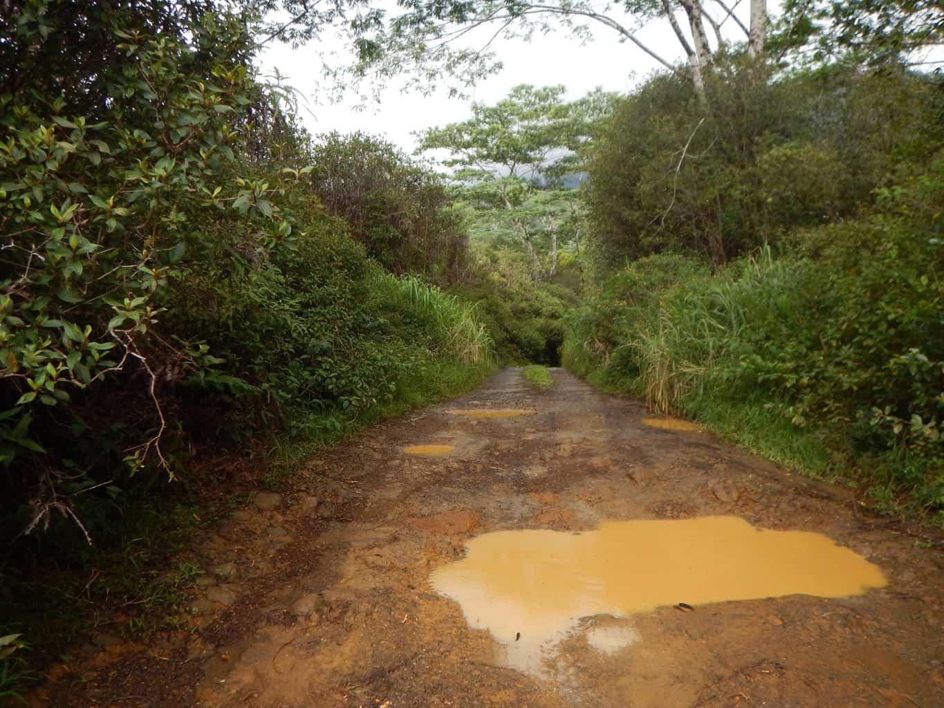 Loop Road Kauai