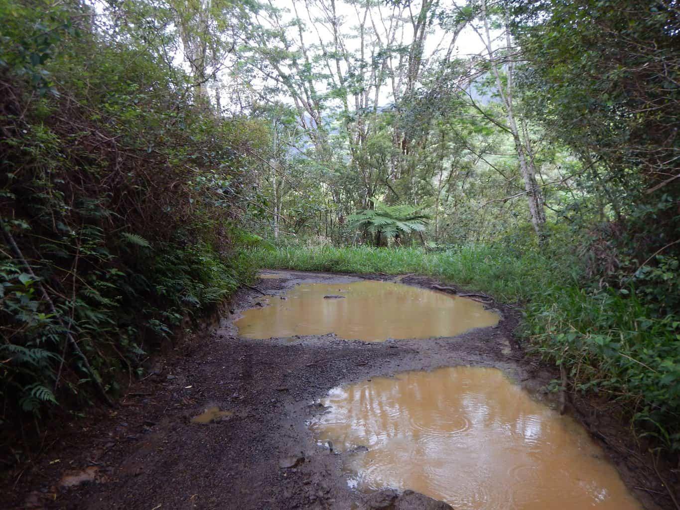 Loop Road Kauai