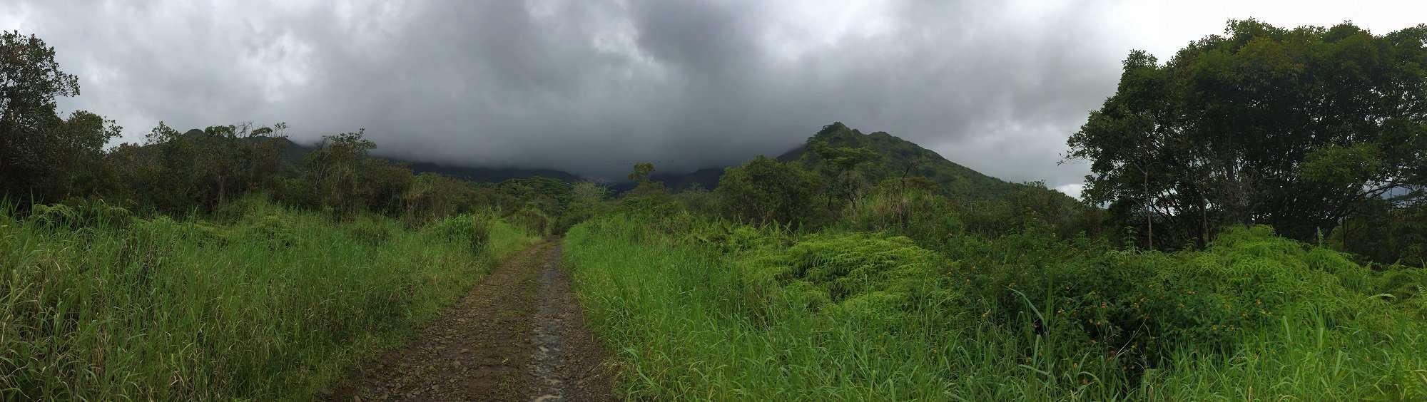 Jurassic Park Gate