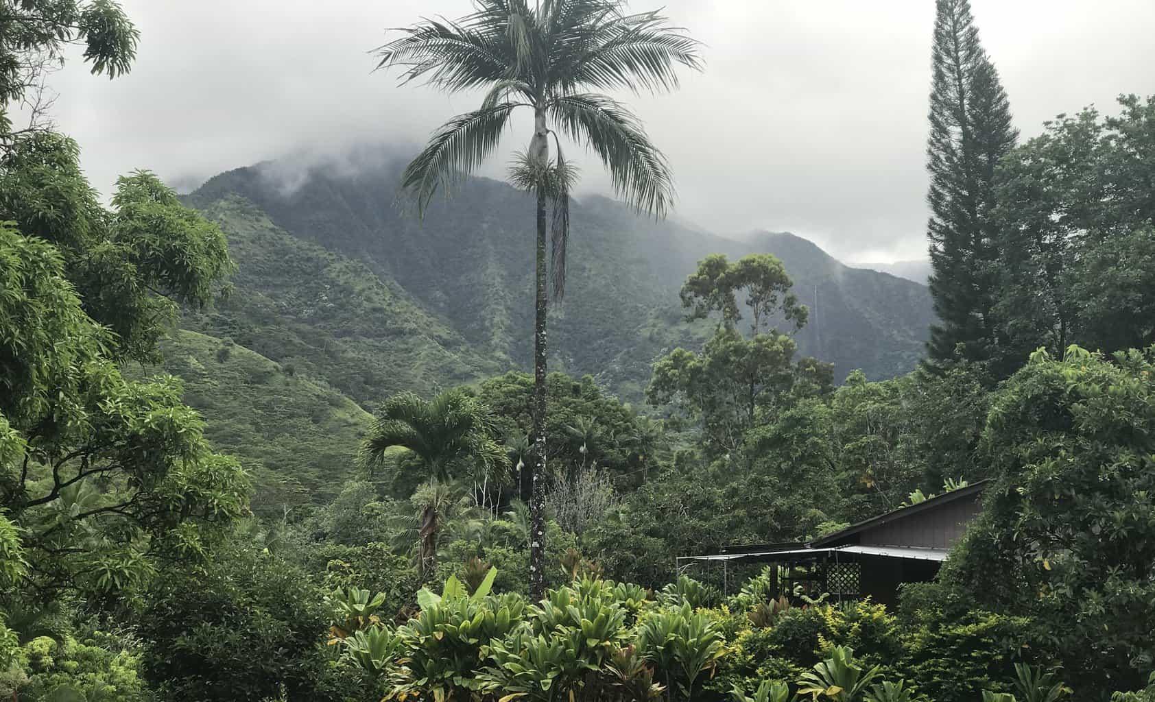 Wainiha Powerhouse Road