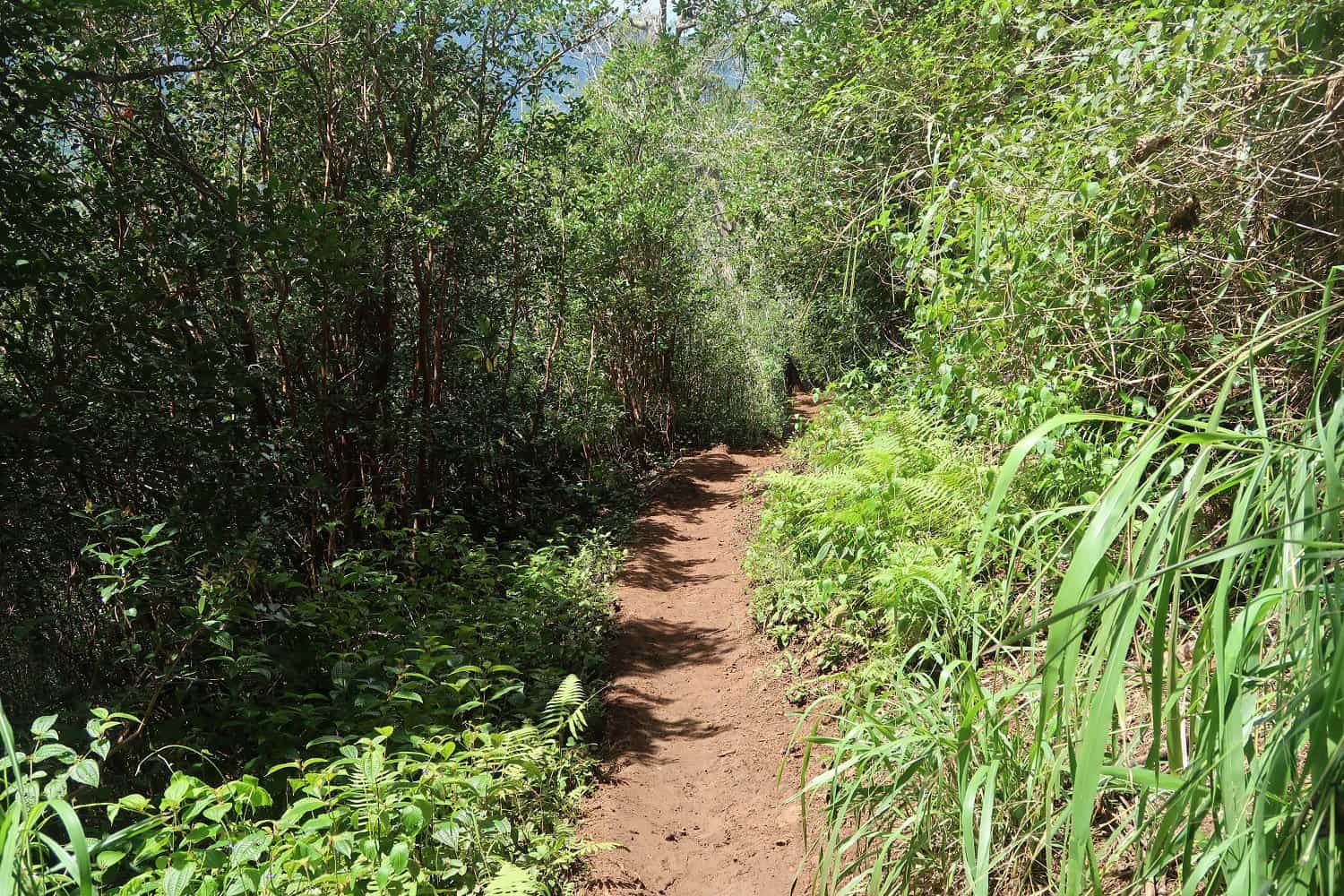 Sendero del Gigante Dormido