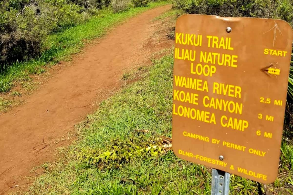 Kukui Trail